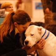 CAMAYA de Arroyo Blanco 