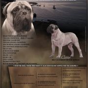 Energy of the world aka Ciccio