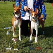 Bahaticca`s EVER FELICITY