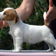 Z Ledulandu BALTIC PRINCE