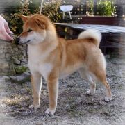 DELEN SOLAR BENISORA 2