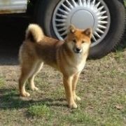 DELEN SOLAR MITOGO NANKAYHO