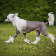 MADE MY DAY von Shinbashi 