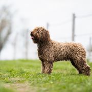 Dianna Sierra de Grazalema 