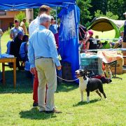 DISCO ROSSA-BULL FCI