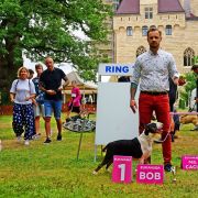 DISCO ROSSA-BULL FCI