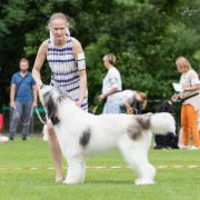 DIUNA Lesedi la Rona