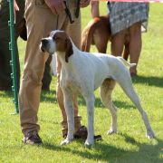 DIUNA Loyal Point FCI