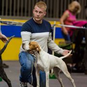 DIUNA Loyal Point FCI 2