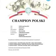 DIUNA Loyal Point FCI 3