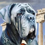 Dolly Grande Bellezza Dell'Amore