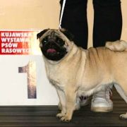 DORIS Owocowe Wzgórze