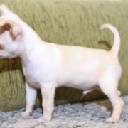 Alter Ego Emerald In Gold