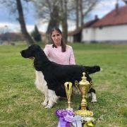 Forcewind Classic Black Pearl 