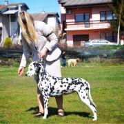 Elis Spotty Memories