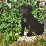 BREATHTAKING Your Destiny FCI