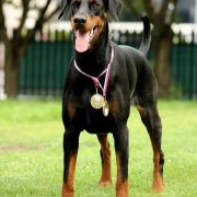 Aurora Valle di Rose