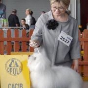 BELLA DONNA Cobegarden (FCI)