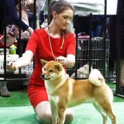 EKATO KADZUKEMONO DOREMI