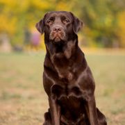 Monika Piece Of Soul