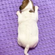 Ocean Of Love Heavenly Blessing