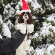 Queenzie AS NEVER BEFORE