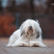 HERA z Hordy Gabriela