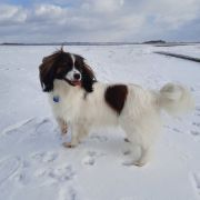 Anabella Beautiful Secrets