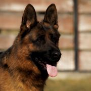 PIORUN z Więcborskiej Doliny 