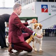 KREMÓWKA Zulajo FCI