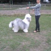 NO I UDAŁO SIĘ! Bobicowo FCI