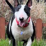 BALBINA Szoszon Kaja 