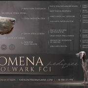 FILOMENA Psi Folwark