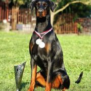 Aurora Valle di Rose