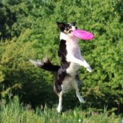 Flexi Team Snow White