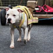 Proud to be Greek Archimedes