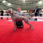 South Dog's Cartel DESIREE