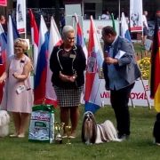 FRIZBEE Cobegarden (FCI)