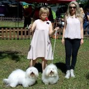 FRIZBEE Cobegarden (FCI)