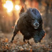 AmberEyes'Magic JUST FOR YOU