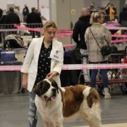 Adelka Dar Świętego Bernarda (FCI)