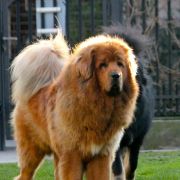 EASY Z MILINSKEHO UDOLI