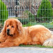 EASY Z MILINSKEHO UDOLI 2