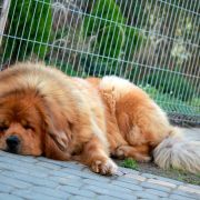 EASY Z MILINSKEHO UDOLI 3