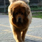 EASY Z MILINSKEHO UDOLI 4