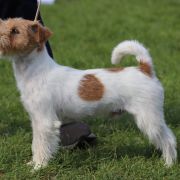 UNBELIEVABLE FAST DE TIMBALAND CH.PL