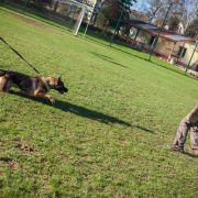 Cappucino van de Duca Vallei