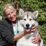 Arctic Melody SCARLET HAMMER