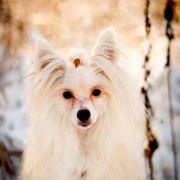 Greece Artagasamazis 2