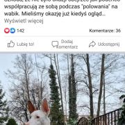 Simka Rjabina De Bergerac 